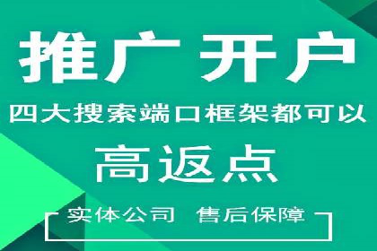 SEM广告投放的精准定位与优化案例